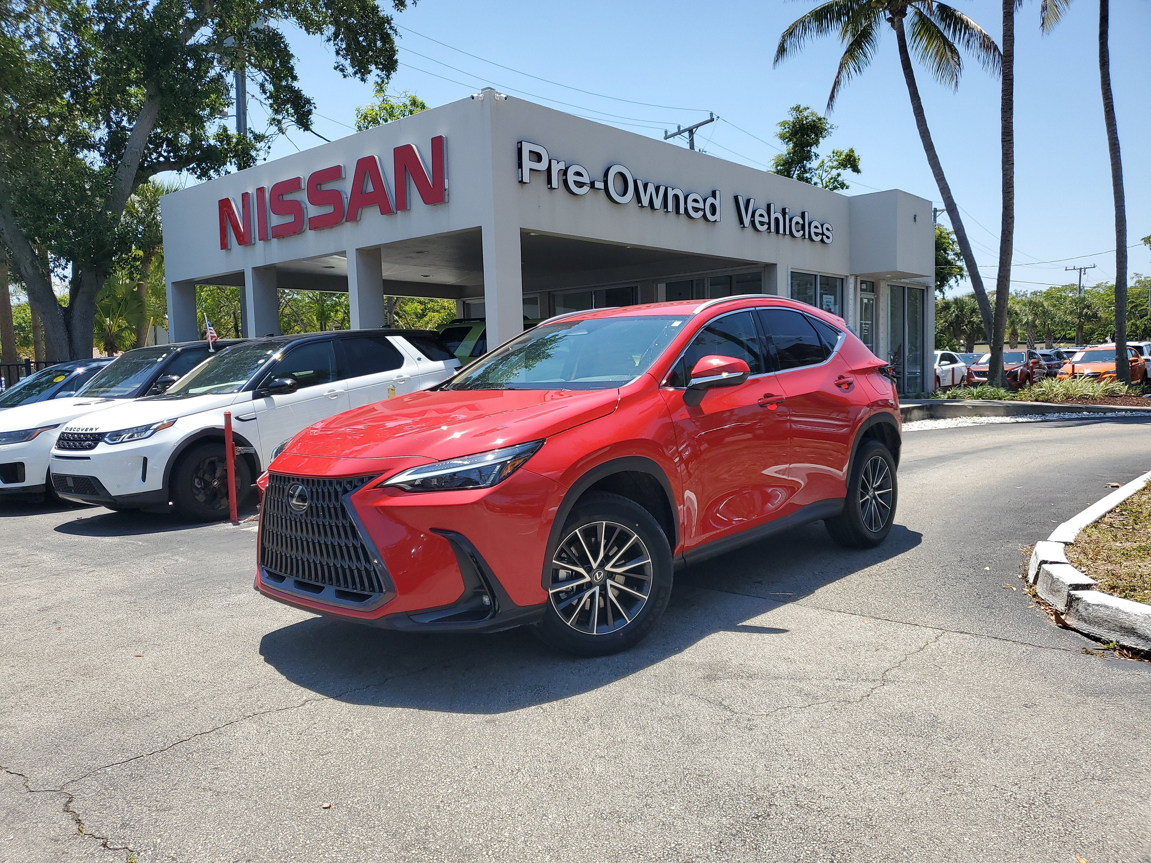 2024 Lexus NX NX 250