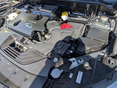 2024 INFINITI QX50 SPORT