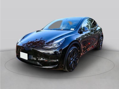 2025 Tesla Model Y Long Range