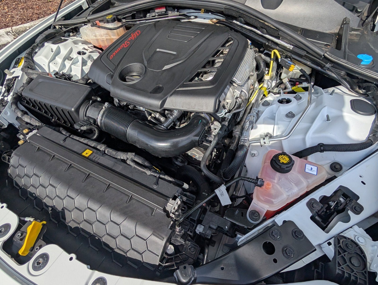 2023 Alfa Romeo Giulia Veloce